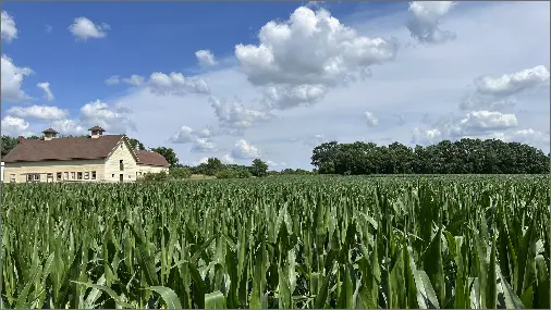 Image of the farm on a sunny day