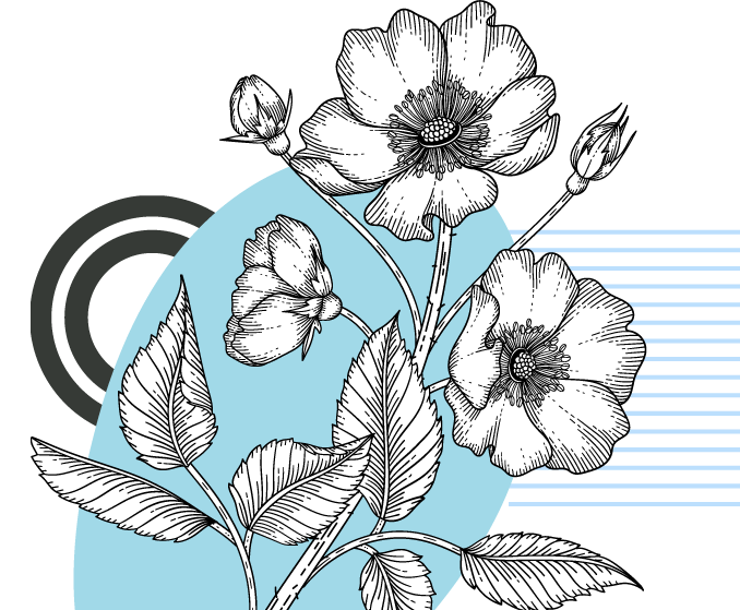 Line art of flowers