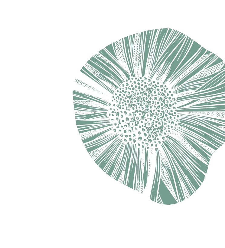 Line art of flowers