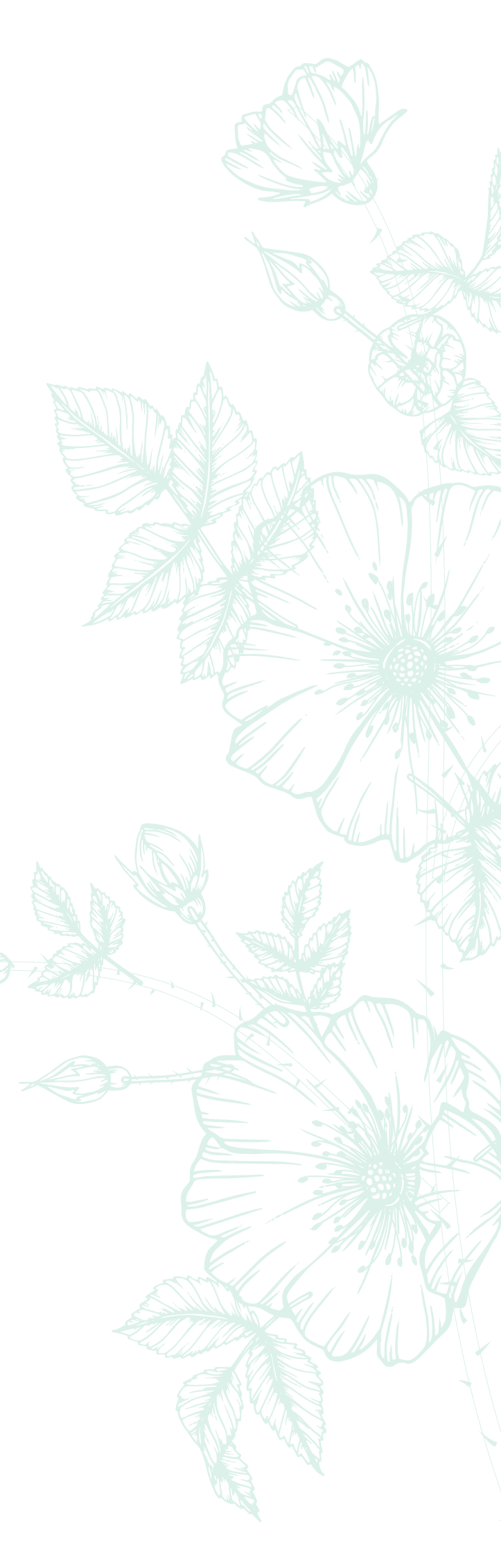 Line art of flowers