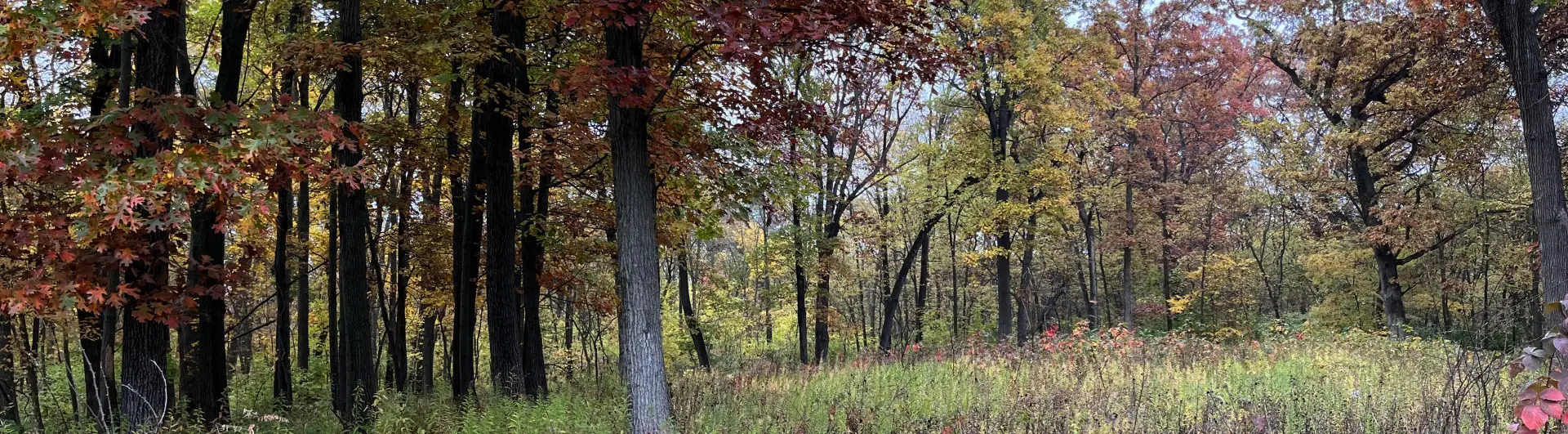 Sunken garden in the fall