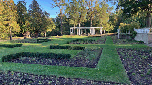 Sunken Garden with grass paths, low geometric hedges, and new sprouts in black dirt.